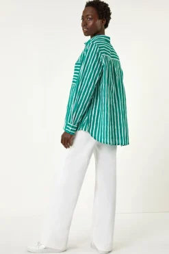 Roman Green Stripe Linear Print V-Neck Button Shirt