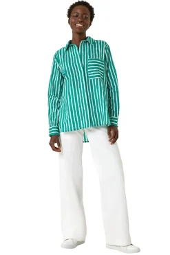 Roman Green Stripe Linear Print V-Neck Button Shirt