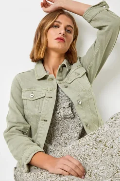 Roman Sage Classic Cotton Denim Jacket