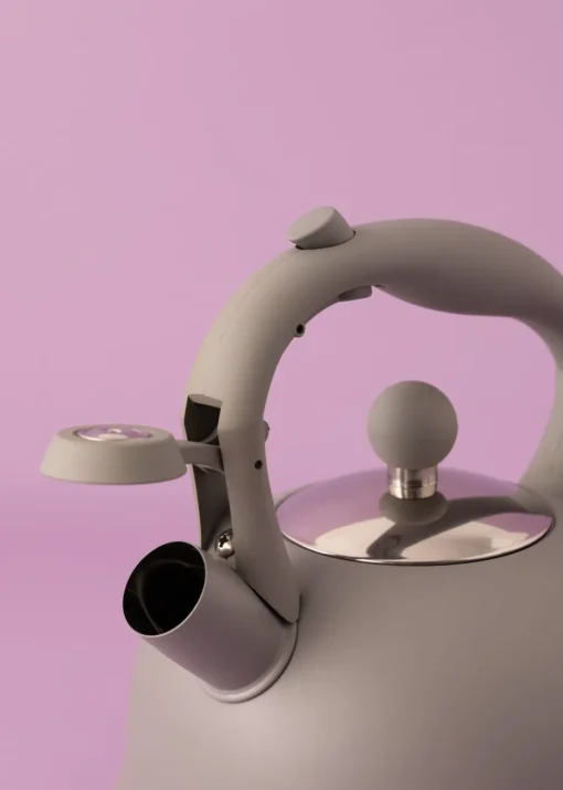Typhoon Grey Stove Top Kettle