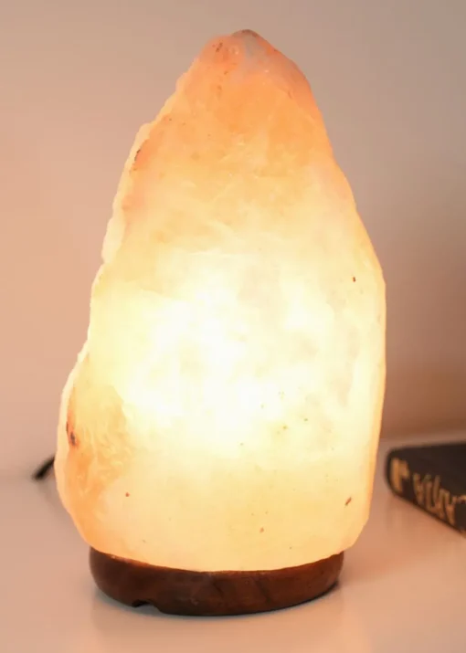 ValueLights Pink Himalayan Salt Lamp (21cm x 9cm x 9cm)