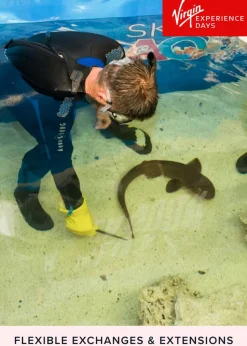 Virgin Experience Days Junior Snorkel with Baby Sharks at Skegness Aquarium