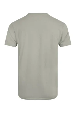Weird Fish Grey Carp Side Front Print Artist T-Shirt