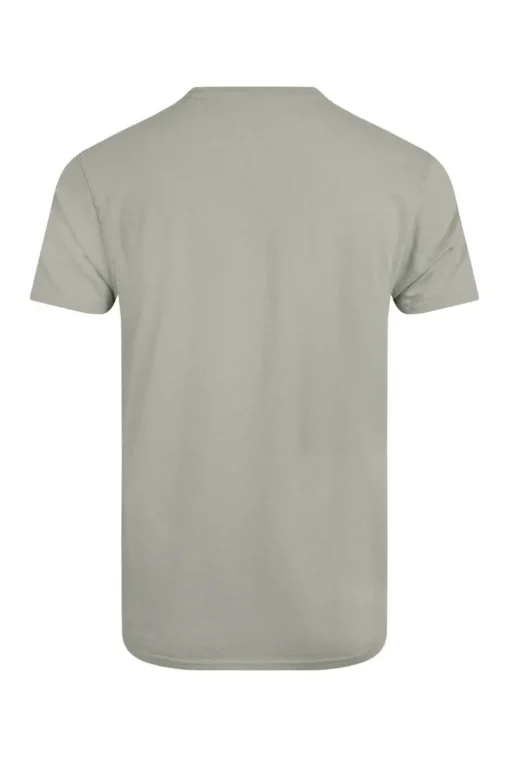 Weird Fish Grey Carp Side Front Print Artist T-Shirt