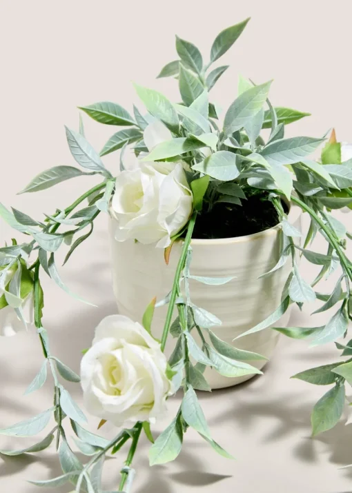 White Roses In Cement Pot