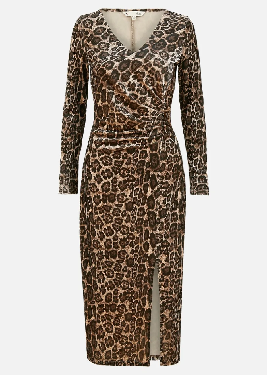 Yumi Brown Velvet Leopard Print Fitted Midi Dress